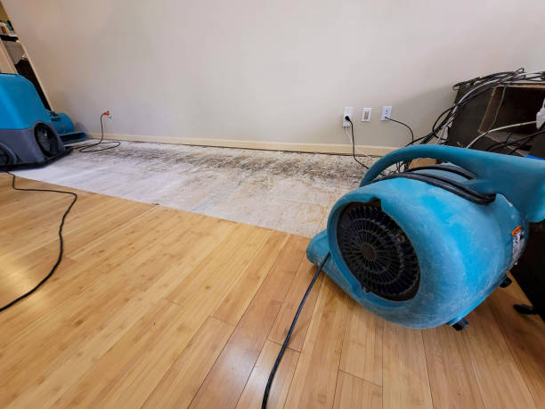 Professional Burst Pipe Water Damage technician working in Fayette, AL